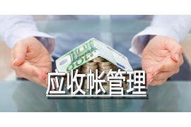 渭南如何避免债务纠纷？专业追讨公司教您应对之策